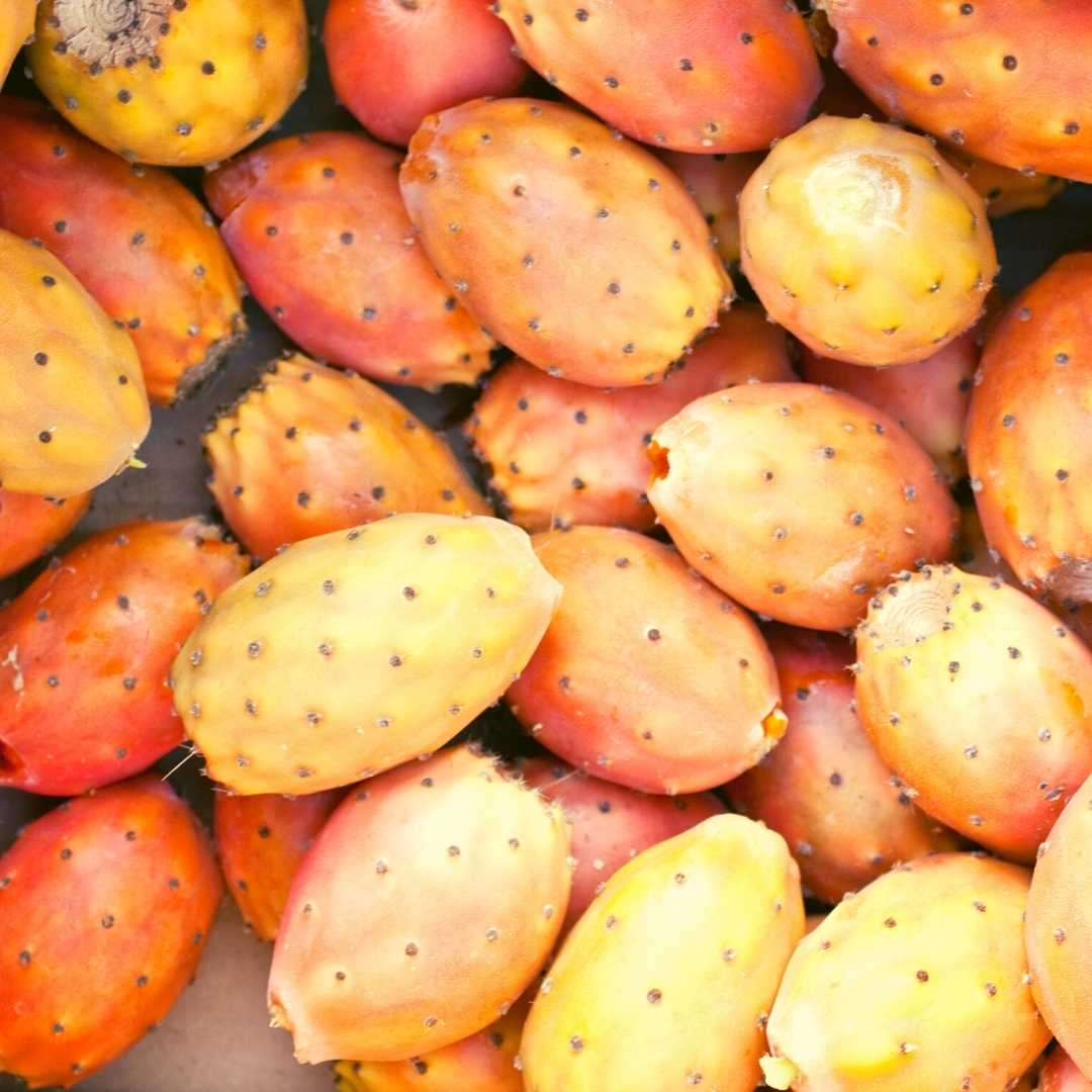 prickly pear
